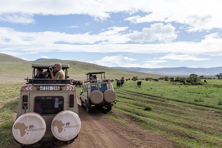 TZA ARU Ngorongoro 2016DEC26 Crater 058